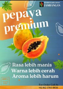 Manfaat buah pepaya bagi kesehatan