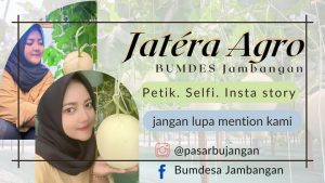 Jatera agro