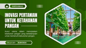 Proposal ketahanan pangan greenhouse melon hidroponik