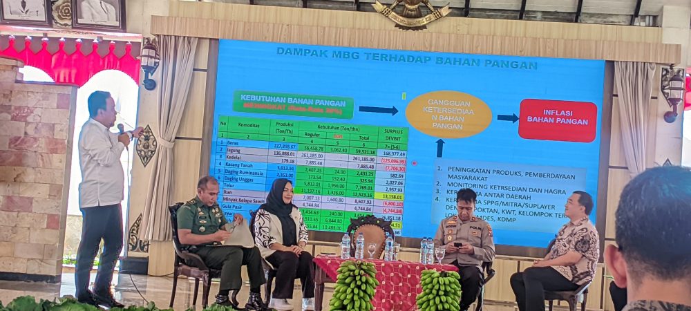 LMC_20251204_100255_PRE🎨4 SKY Colour